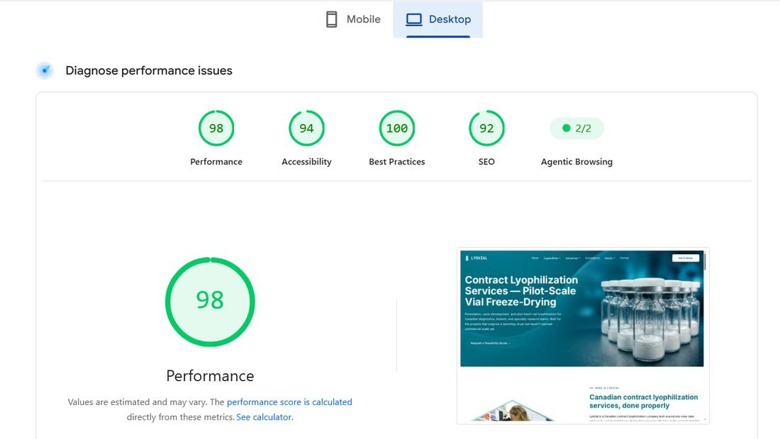 Google PageSpeed Insights score of 98 Performance 94 Accessibility 100 Best Practices 92 SEO for Lyovial